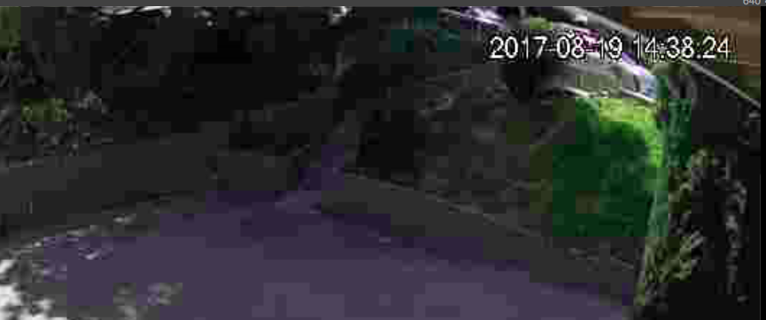 Screen Shot 2017-08-19 at 2.38.36 PM.png
